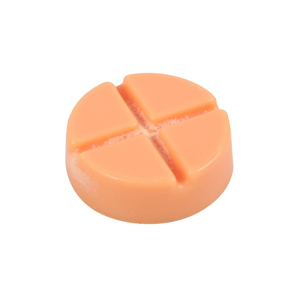 Spiced Pumpkin Soy Wax Snap Disc
